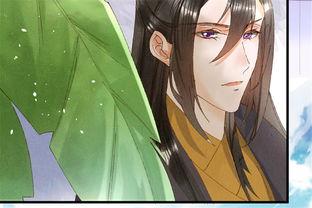 暗卫王妃,宫廷秘恋，权谋风云